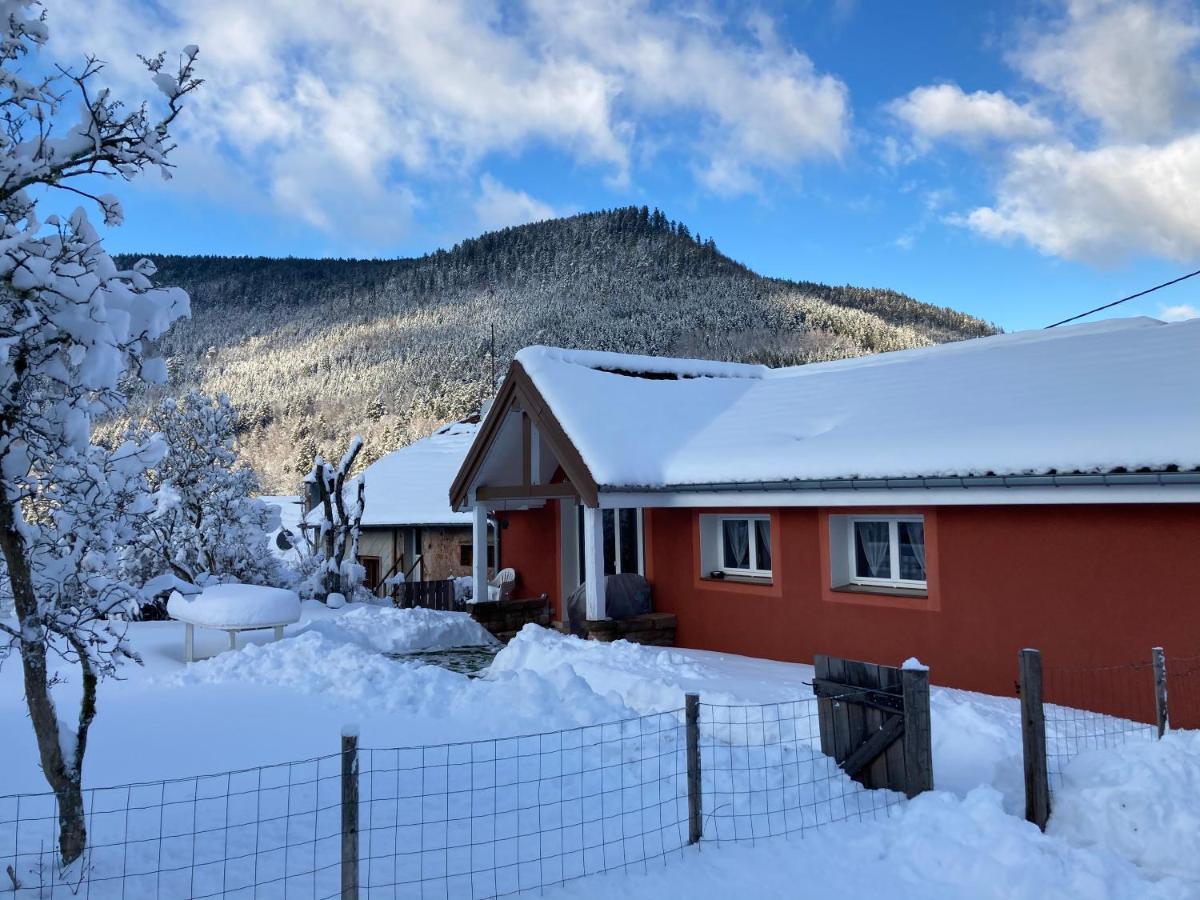 Gite Le Cerf Volant Raon-sur-Plaine Exterior foto